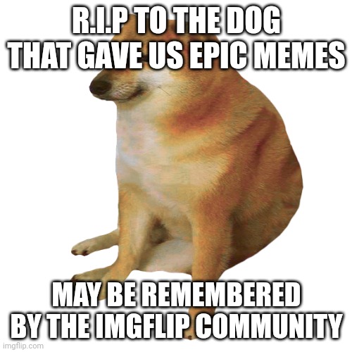 Rest in peace ? | R.I.P TO THE DOG THAT GAVE US EPIC MEMES; MAY BE REMEMBERED BY THE IMGFLIP COMMUNITY | image tagged in cheems | made w/ Imgflip meme maker