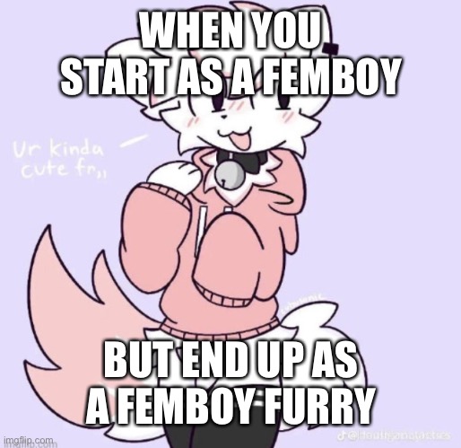 boykisser glow up | WHEN YOU START AS A FEMBOY BUT END UP AS A FEMBOY FURRY | image tagged in boykisser glow up | made w/ Imgflip meme maker