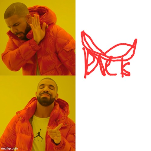 Drake Hotline Bling Meme | image tagged in memes,drake hotline bling | made w/ Imgflip meme maker