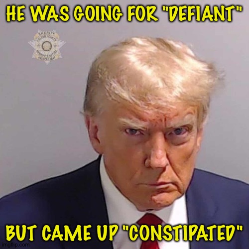 Not what he was going for... | HE WAS GOING FOR "DEFIANT"; BUT CAME UP "CONSTIPATED" | image tagged in trump mug shot | made w/ Imgflip meme maker