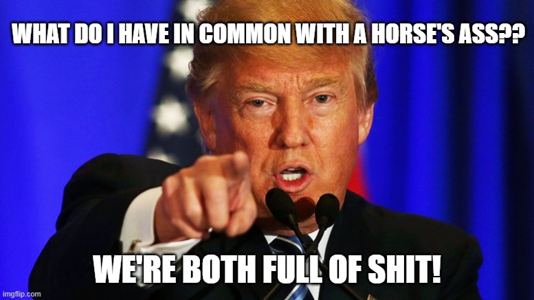 Donald Trump I Want You | WHAT DO I HAVE IN COMMON WITH A HORSE'S ASS?? WE'RE BOTH FULL OF SHIT! | image tagged in donald trump i want you | made w/ Imgflip meme maker