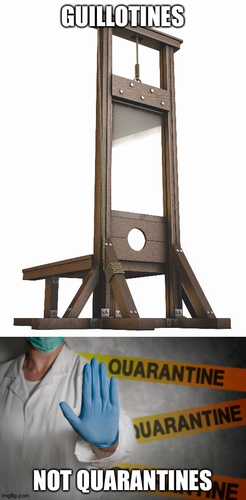 If you comply, you are the enemy | GUILLOTINES; NOT QUARANTINES | image tagged in pandemic | made w/ Imgflip meme maker