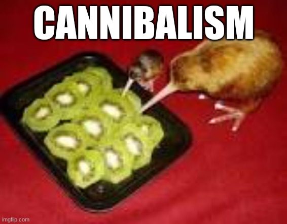 CANNIBALISM | CANNIBALISM | image tagged in funny | made w/ Imgflip meme maker