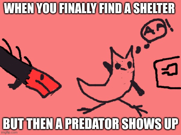 WHEN YOU FINALLY FIND A SHELTER; BUT THEN A PREDATOR SHOWS UP | made w/ Imgflip meme maker