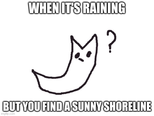 WHEN IT'S RAINING; BUT YOU FIND A SUNNY SHORELINE | made w/ Imgflip meme maker