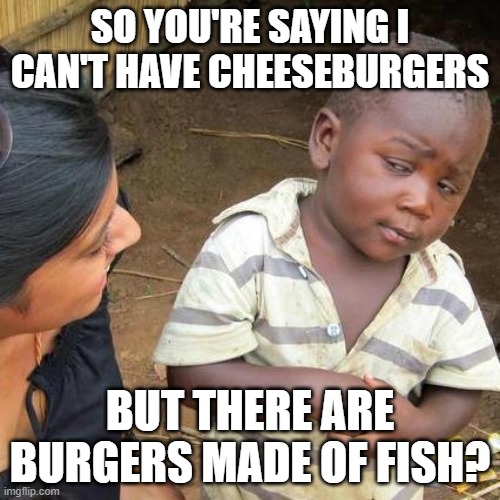 ,m,mm, | SO YOU'RE SAYING I CAN'T HAVE CHEESEBURGERS; BUT THERE ARE BURGERS MADE OF FISH? | image tagged in memes,third world skeptical kid | made w/ Imgflip meme maker