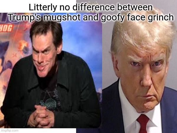 Litterly no difference between Trump's mugshot and goofy face grinch | made w/ Imgflip meme maker