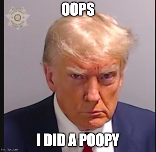 TRUMP | OOPS; I DID A POOPY | image tagged in donald trump,poop,mugshot | made w/ Imgflip meme maker