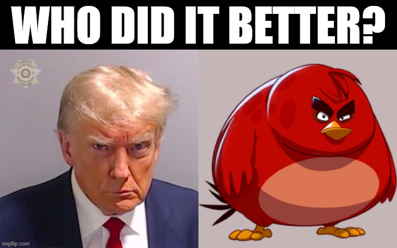 Who did it better? | WHO DID IT BETTER? | image tagged in donald trump,mugshot,angry birds,angry trump,hurt feelings,loser | made w/ Imgflip meme maker
