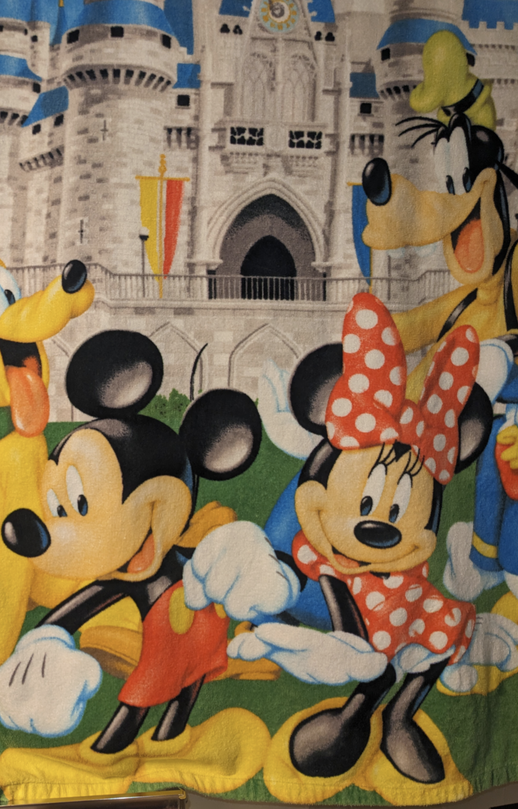 Walt Disney beach towel Blank Meme Template