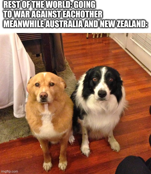 REST OF THE WORLD: GOING TO WAR AGAINST EACHOTHER
MEANWHILE AUSTRALIA AND NEW ZEALAND: | image tagged in memes,blank transparent square,besties | made w/ Imgflip meme maker