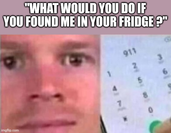 Blinking White man calling 911 | "WHAT WOULD YOU DO IF YOU FOUND ME IN YOUR FRIDGE ?" | image tagged in blinking white man calling 911 | made w/ Imgflip meme maker