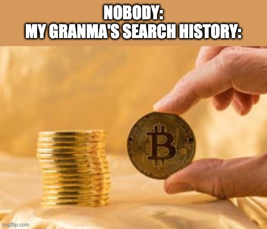 This is MY Granmma | NOBODY:
MY GRANMA'S SEARCH HISTORY: | image tagged in stack of bitcoins | made w/ Imgflip meme maker