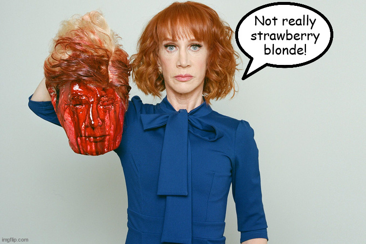Strawberry blonde? | Not really strawberry blonde! | image tagged in donald trump,kathy griffin,lost yourhead,ketchup,maga,fooled ya | made w/ Imgflip meme maker
