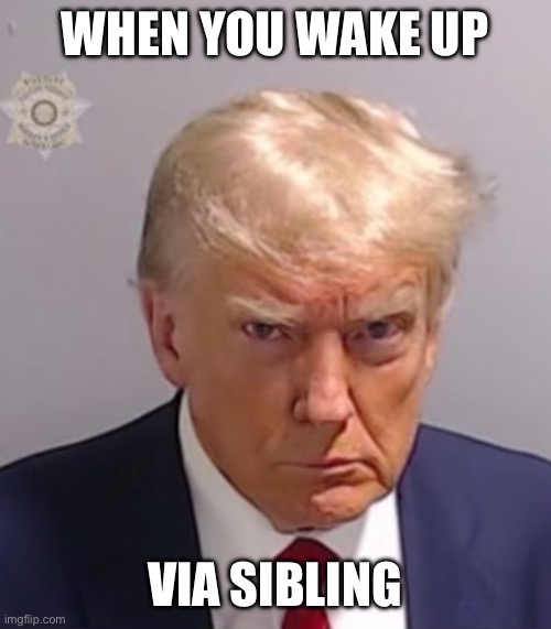 Our last president everyone | WHEN YOU WAKE UP; VIA SIBLING | image tagged in donald trump mugshot | made w/ Imgflip meme maker
