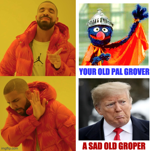 Career paths. | YOUR OLD PAL GROVER; A SAD OLD GROPER | image tagged in reverse drake,memes,trump,orange but the dark side | made w/ Imgflip meme maker