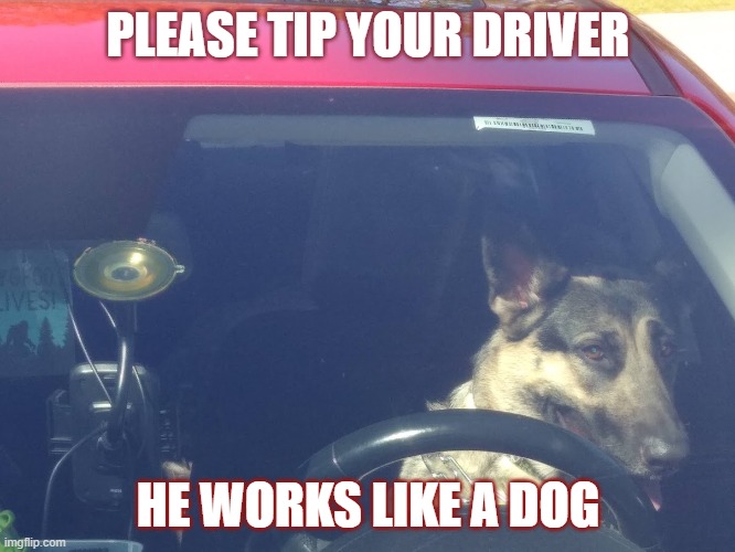 Tip your driver | PLEASE TIP YOUR DRIVER; HE WORKS LIKE A DOG | image tagged in rideshare,dog,tired,work,tip,tips | made w/ Imgflip meme maker