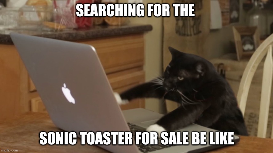 Finding the Sonic Toaster | SEARCHING FOR THE; SONIC TOASTER FOR SALE BE LIKE | image tagged in furiously typing cat,toaster,cats | made w/ Imgflip meme maker