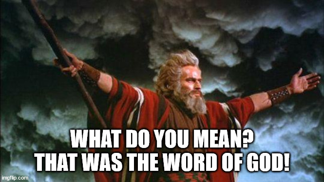 moises begins | WHAT DO YOU MEAN?
THAT WAS THE WORD OF GOD! | image tagged in moises begins | made w/ Imgflip meme maker