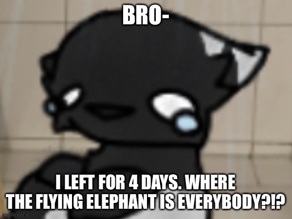 Like- sketchy?? Icy?? FTC?? cherry?? Where tf are all u guys- | BRO-; I LEFT FOR 4 DAYS. WHERE THE FLYING ELEPHANT IS EVERYBODY?!? | image tagged in crying darkio | made w/ Imgflip meme maker