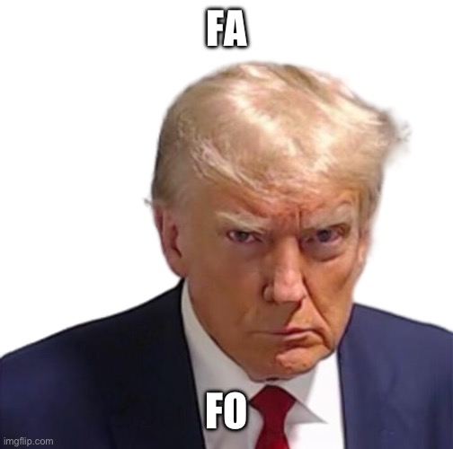 Trump mugshot | FA; FO | image tagged in trump mugshot | made w/ Imgflip meme maker