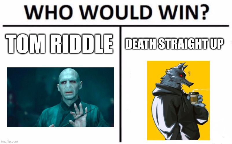 Before anyone asks. I already know Voldemort dies. I just wanted to see what would happen if he met death from puss in boots | TOM RIDDLE; DEATH STRAIGHT UP | image tagged in memes,who would win | made w/ Imgflip meme maker
