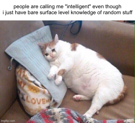 NOT a repost from reddit for once | people are calling me "intelligent" even though i just have bare surface level knowledge of random stuff | image tagged in crying cat,relatable,relatable memes,intelligence | made w/ Imgflip meme maker