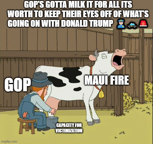 cow milking | CAPACITY FOR VICTIMIZATION GOP MAUI FIRE GOP'S GOTTA MILK IT FOR ALL ITS WORTH TO KEEP THEIR EYES OFF OF WHAT'S GOING ON WITH DONALD TRUMP   | image tagged in cow milking | made w/ Imgflip meme maker