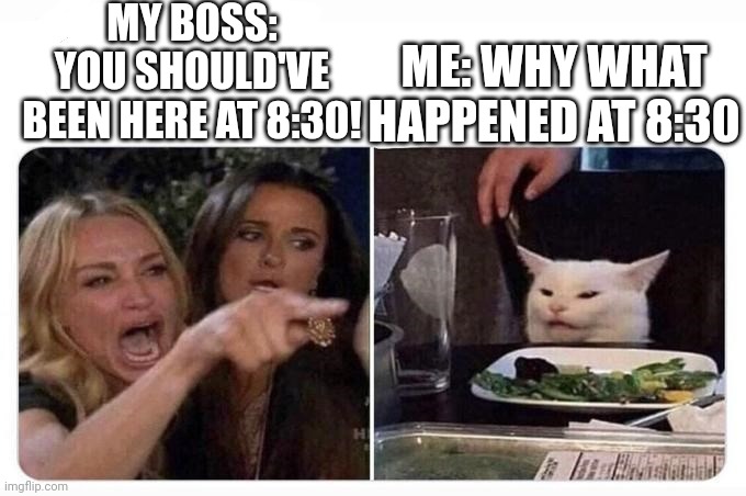 Woman shouting at cat | MY BOSS: YOU SHOULD'VE BEEN HERE AT 8:30! ME: WHY WHAT HAPPENED AT 8:30 | image tagged in woman shouting at cat | made w/ Imgflip meme maker