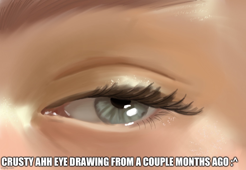 it didn't even look as good as the reference so i hated it :( | CRUSTY AHH EYE DRAWING FROM A COUPLE MONTHS AGO :^ | image tagged in art,drawings,drawing | made w/ Imgflip meme maker