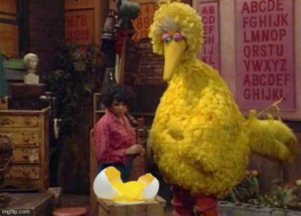 Big Bird broken egg | image tagged in big bird broken egg | made w/ Imgflip meme maker