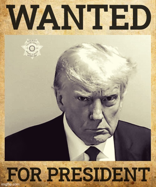 The mugshot seen round the world. | WANTED; FOR PRESIDENT | image tagged in memes | made w/ Imgflip meme maker