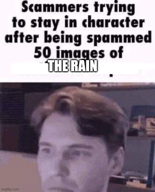 Scammers trying to stay in character after being spammed 50 imag | THE RAIN | image tagged in scammers trying to stay in character after being spammed 50 imag | made w/ Imgflip meme maker