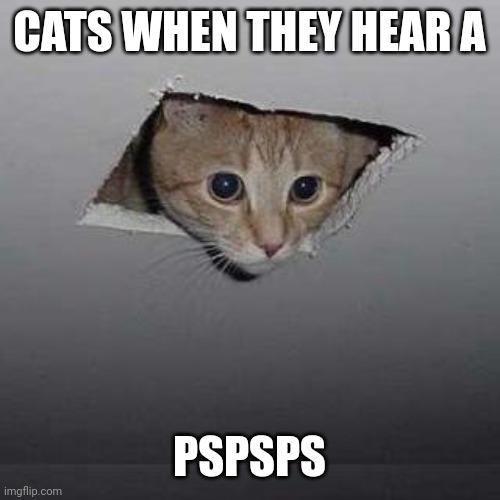 Pspsps | CATS WHEN THEY HEAR A; PSPSPS | image tagged in memes,ceiling cat | made w/ Imgflip meme maker