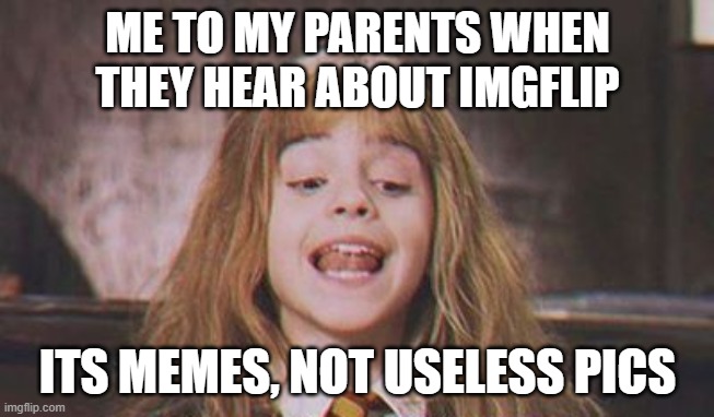 It's leviosa not leviosaa | ME TO MY PARENTS WHEN THEY HEAR ABOUT IMGFLIP; ITS MEMES, NOT USELESS PICS | image tagged in it's leviosa not leviosaa | made w/ Imgflip meme maker