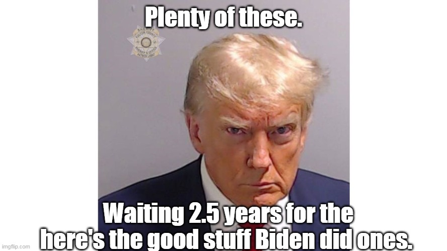 Took 2 weeks to get the Pelosi Mug Shot | Plenty of these. Waiting 2.5 years for the here's the good stuff Biden did ones. | image tagged in trump mug shot meme | made w/ Imgflip meme maker