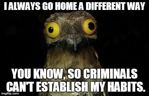 Weird Stuff I Do Potoo Meme | I ALWAYS GO HOME A DIFFERENT WAY YOU KNOW, SO CRIMINALS CAN'T ESTABLISH MY HABITS. | image tagged in memes,weird stuff i do potoo,AdviceAnimals | made w/ Imgflip meme maker