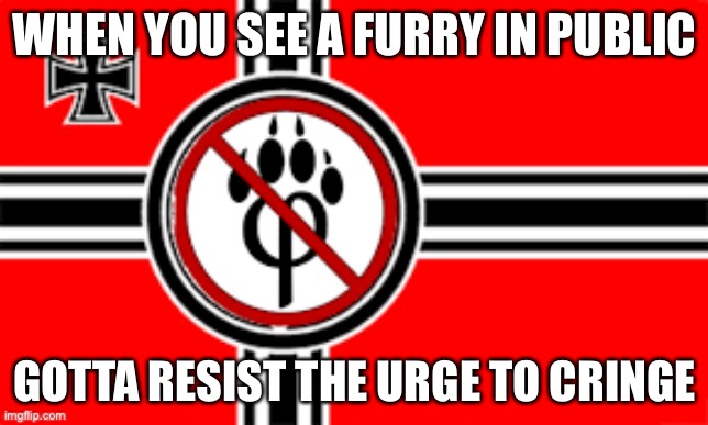 anti furry flag | WHEN YOU SEE A FURRY IN PUBLIC; GOTTA RESIST THE URGE TO CRINGE | image tagged in anti furry flag | made w/ Imgflip meme maker
