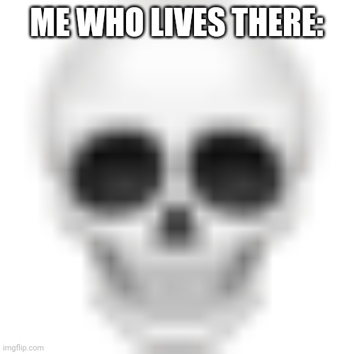 Skull emoji | ME WHO LIVES THERE: | image tagged in skull emoji | made w/ Imgflip meme maker