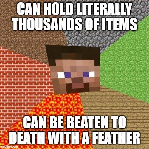 Minecraft Steve | CAN HOLD LITERALLY THOUSANDS OF ITEMS; CAN BE BEATEN TO DEATH WITH A FEATHER | image tagged in minecraft steve | made w/ Imgflip meme maker