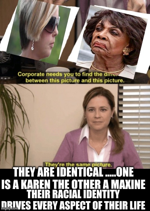 Birds of a feather | THEY ARE IDENTICAL …..ONE IS A KAREN THE OTHER A MAXINE; THEIR RACIAL IDENTITY DRIVES EVERY ASPECT OF THEIR LIFE | image tagged in corporate needs you to find the differences | made w/ Imgflip meme maker
