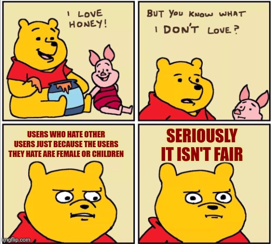 The only users I hate | SERIOUSLY IT ISN'T FAIR; USERS WHO HATE OTHER USERS JUST BECAUSE THE USERS THEY HATE ARE FEMALE OR CHILDREN | image tagged in serious winnie the pooh,hate,female,children,unfair,this is a tag | made w/ Imgflip meme maker