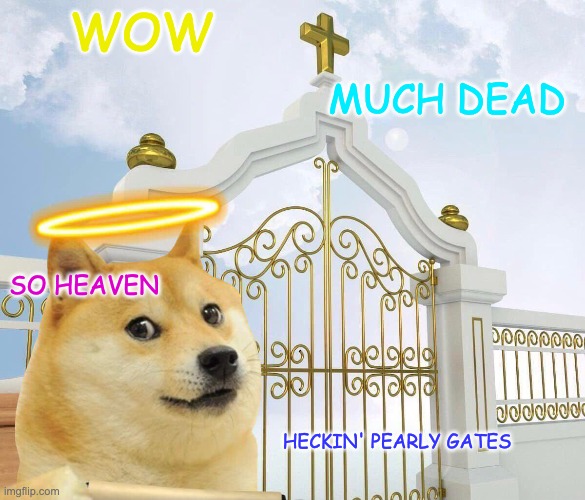 Doge in heaven | WOW; MUCH DEAD; SO HEAVEN; HECKIN' PEARLY GATES | image tagged in doge | made w/ Imgflip meme maker