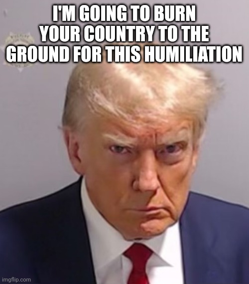 He's gonna try... | I'M GOING TO BURN YOUR COUNTRY TO THE GROUND FOR THIS HUMILIATION | image tagged in donald trump mugshot | made w/ Imgflip meme maker
