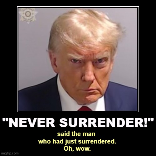 "NEVER SURRENDER!" | said the man 
who had just surrendered.
Oh, wow. | image tagged in funny,demotivationals,trump,surrender,irony | made w/ Imgflip demotivational maker