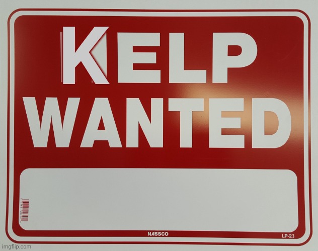HELP WANTED | K | image tagged in help wanted | made w/ Imgflip meme maker