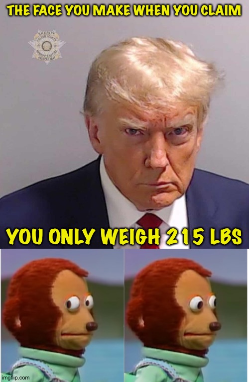 His "Defiantly Truthful" face | THE FACE YOU MAKE WHEN YOU CLAIM; YOU ONLY WEIGH 215 LBS | image tagged in monkey puppet looking away good quality,trump mug shot | made w/ Imgflip meme maker