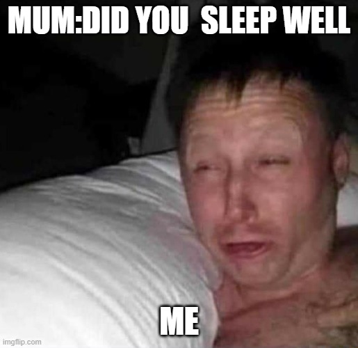 sleppy guyh | MUM:DID YOU  SLEEP WELL; ME | image tagged in sleepy guy | made w/ Imgflip meme maker
