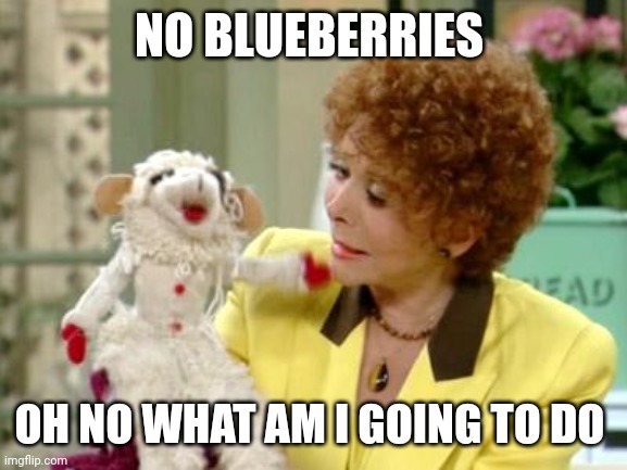lambchops | NO BLUEBERRIES OH NO WHAT AM I GOING TO DO | image tagged in lambchops | made w/ Imgflip meme maker