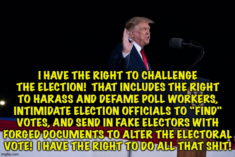 Trump's idea of "challenging" the election | I HAVE THE RIGHT TO CHALLENGE THE ELECTION!  THAT INCLUDES THE RIGHT TO HARASS AND DEFAME POLL WORKERS, INTIMIDATE ELECTION OFFICIALS TO "FIND" VOTES, AND SEND IN FAKE ELECTORS WITH FORGED DOCUMENTS TO ALTER THE ELECTORAL VOTE!  I HAVE THE RIGHT TO DO ALL THAT SHIT! | image tagged in trump | made w/ Imgflip meme maker